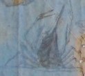 蝦-ＤＦ-鬧海顯神能.jpg