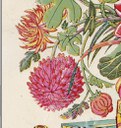 菊花-史博館-大花瓶.jpg