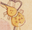 葫蘆1.png