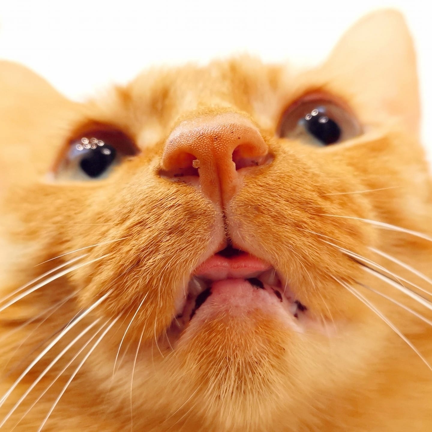 93655443_3181292238549683_2684904861274734592_n.jpg