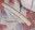 笏板-ＤＦ-Kitchen God and Wealth God with calendar for 1989.jpg