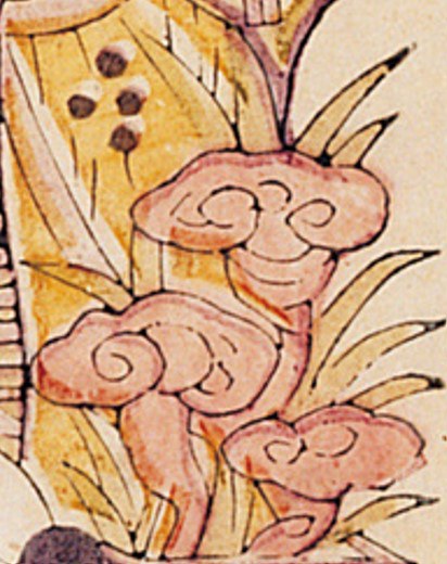 靈芝-史博館-壽星.jpg
