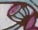 蓮藕-ＤＦ-Five Bats Double Longevity.jpg