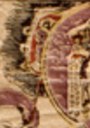 雉尾扇-哥大-廣寒宮(185).jpg