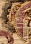 雉尾扇-哥大-廣寒宮(185).jpg