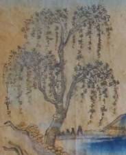 楊柳-ＤＦ-鬧海顯神能.jpg